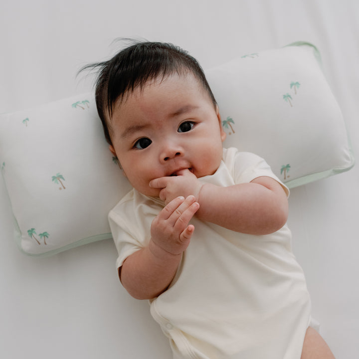 Bamboo Pillow Case ONLY