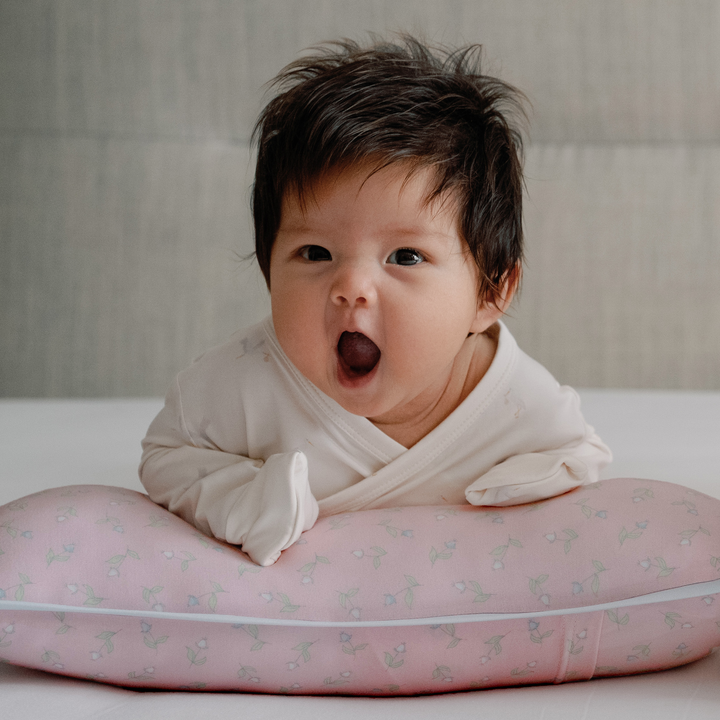 Bamboo Pillow Case ONLY